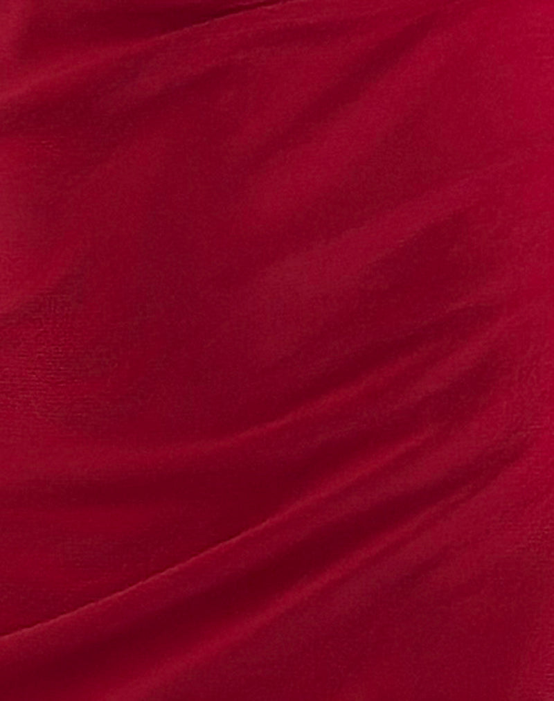 Ribka Halterneck Midi Dress in Mesh Cherry